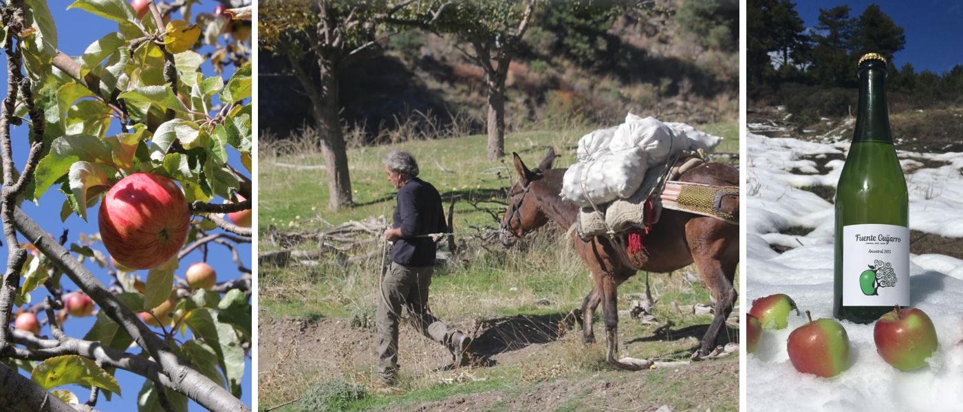 Fuente Guijarro