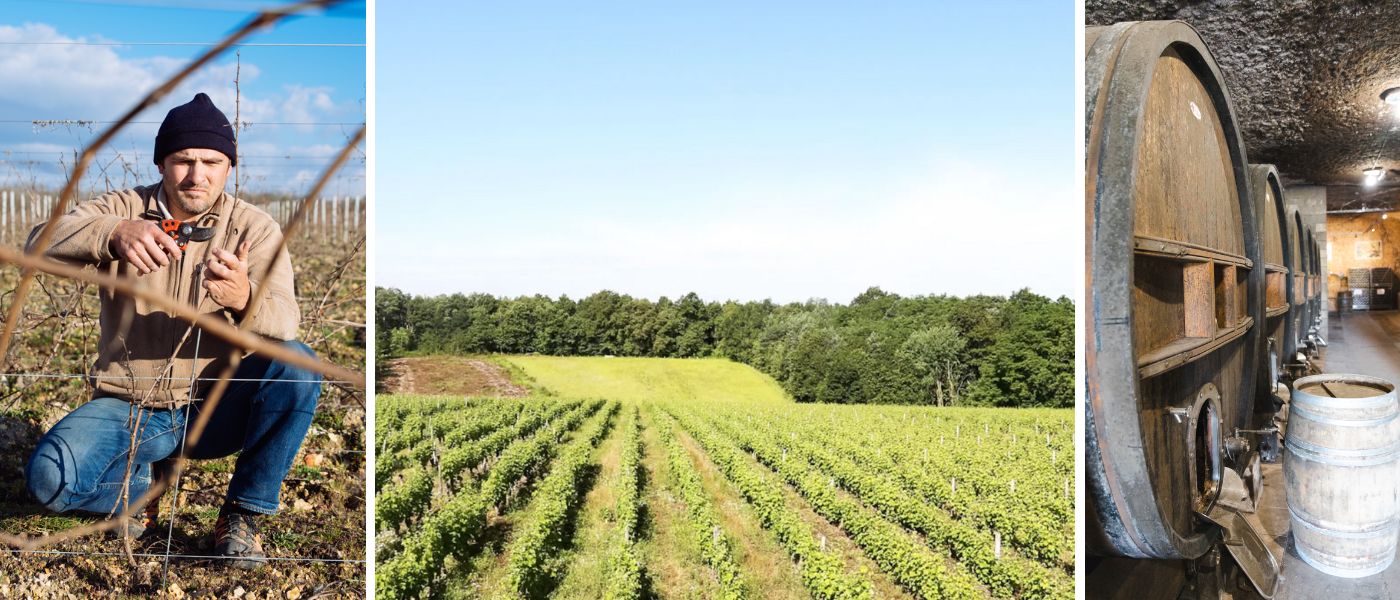 Domaine Jean-François Mérieau