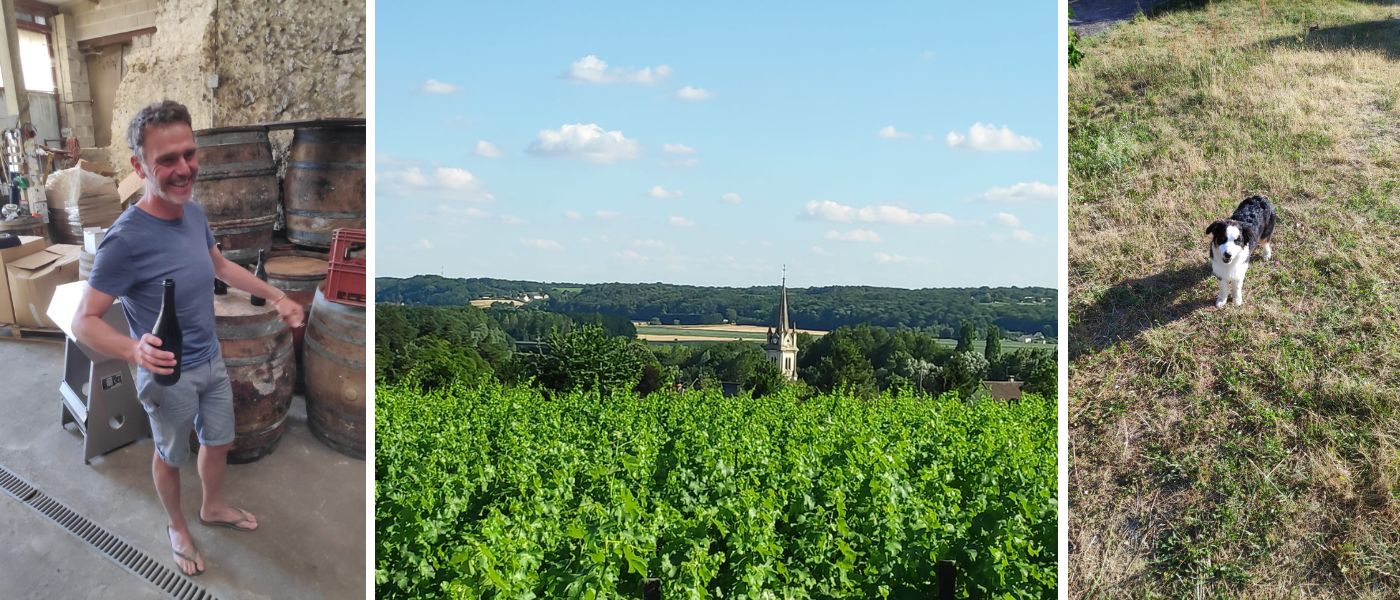 Domaine La Taupe