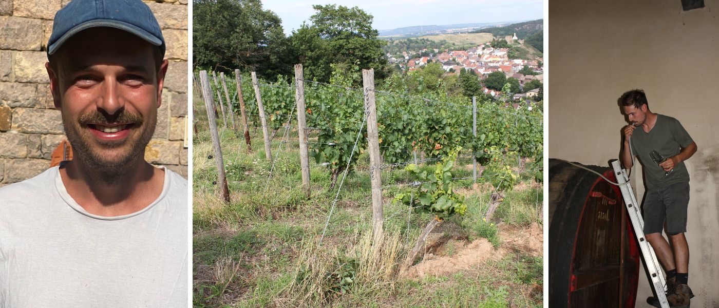 Weingut Mann