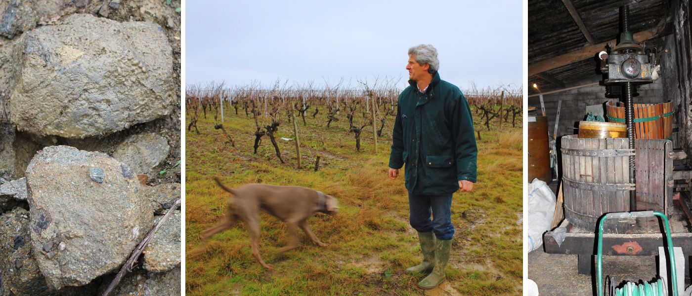 La Charmeresse Vineyard