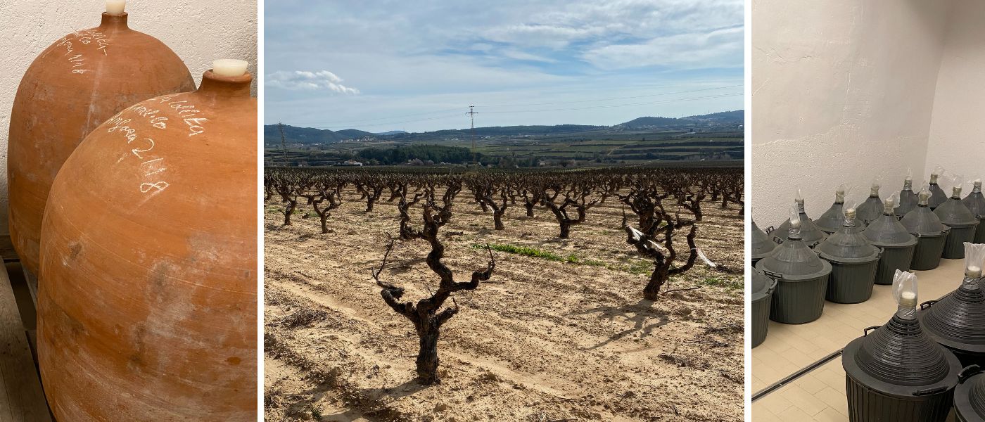 Bodega Clandestina