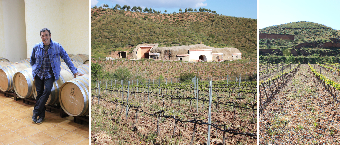 Bodega Cauzon